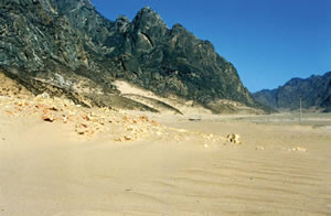 April 2001 Before afforestation