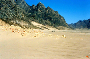 April 2001 Before afforestation