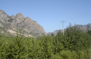 September 2007<br>Five years after afforestation