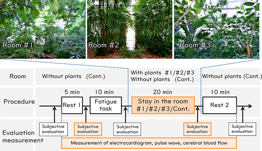 Flow of the experiment in Genki-Kûkan(TM) spaces. The participants stayed in one of 4 rooms for 20 minutes, and aquired results of questionnaire and physiological measurement data from before and after their stays.