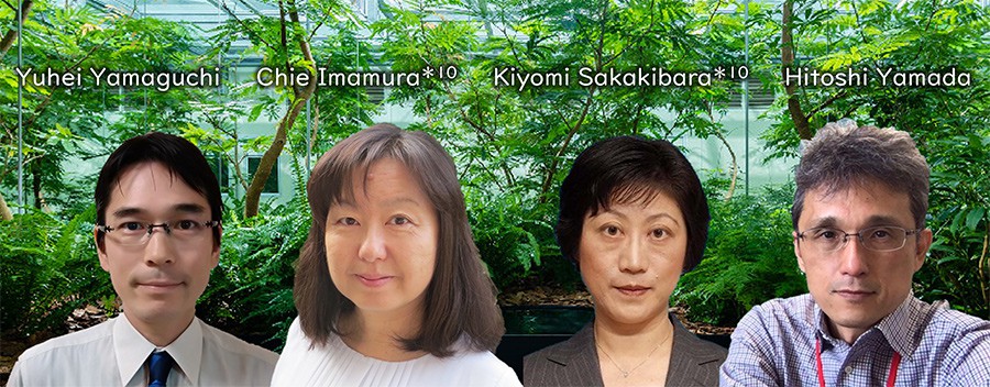 Yuhei Yamaguchi, Chie Imamura, Kiyomi Sakakibara and Hitoshi Yamada