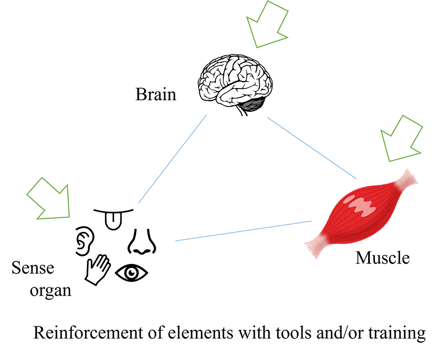 Fig. 2 Conventional enhancements