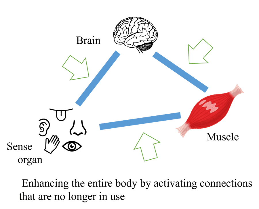 Fig. 3 Enhancements in ERIA