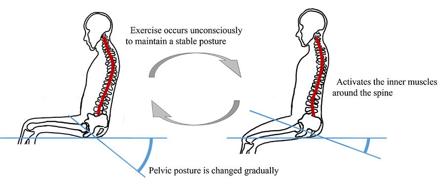 Fig. 4 Pelvic tilt produces trunk motion