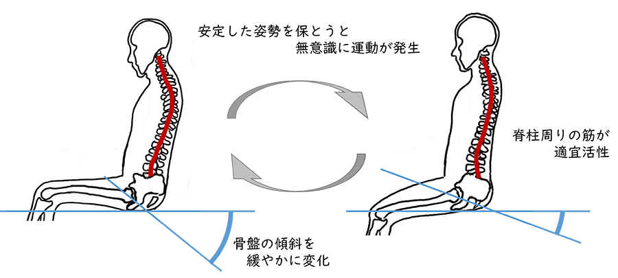 図4 骨盤の傾斜が体幹の運動を生む