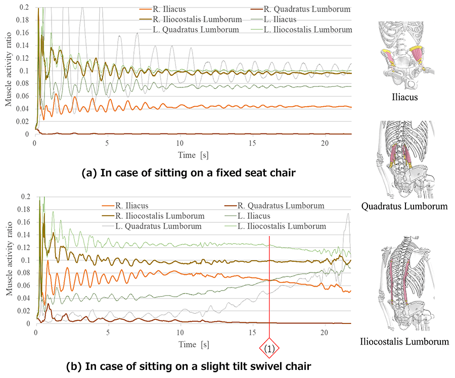 Fig. 6 Differences in changes in the activation of deep lumbar back muscles due to chairs