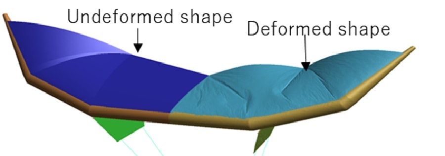 Figure 2 Example of reproducing asymmetric deformation of left and right wings using dynamics simulation