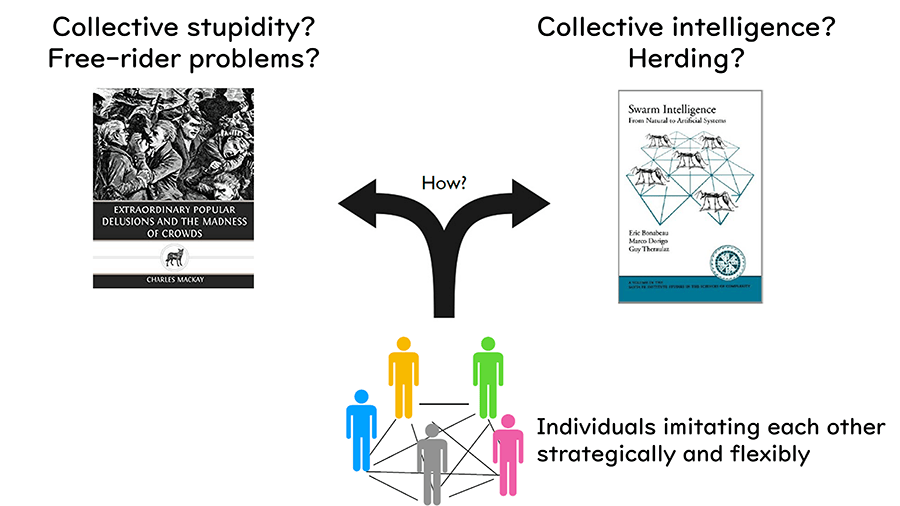 Individuals imitating each other strategically and flexibly