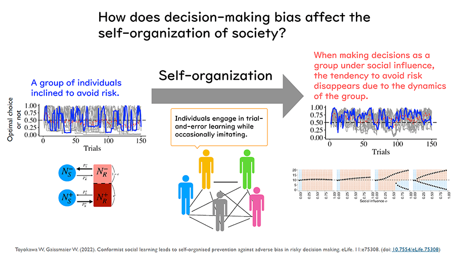 How does decision-making bias affect the self-organization of society?