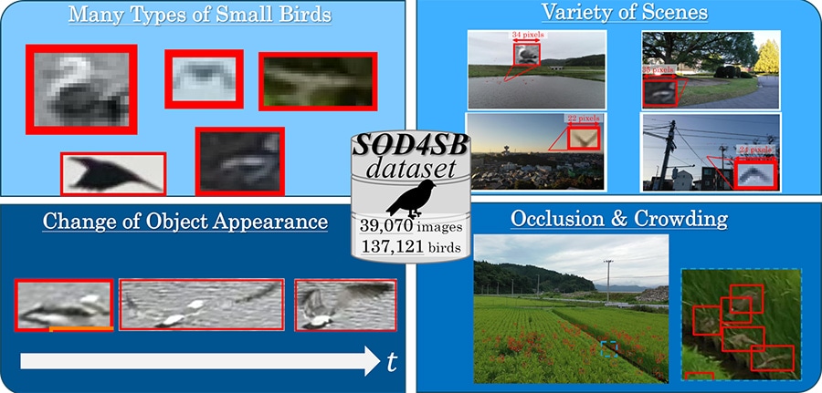 Figure 3 Overview of the SOD4SB Dataset Used in the Competition
