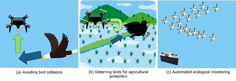 Figure 4 Real-world applications of small bird detection