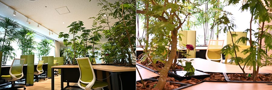 写真左 ： SenエリアとTenエリアの座席　写真右 ： Tenエリア中心に配置した水の什器