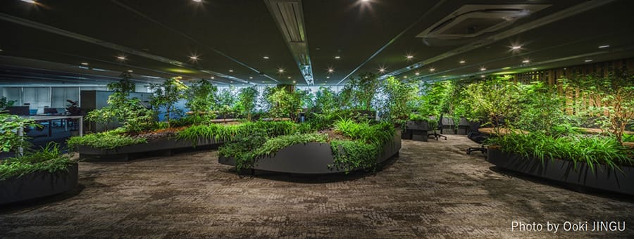 BR（Business Reform）BEV オフィス