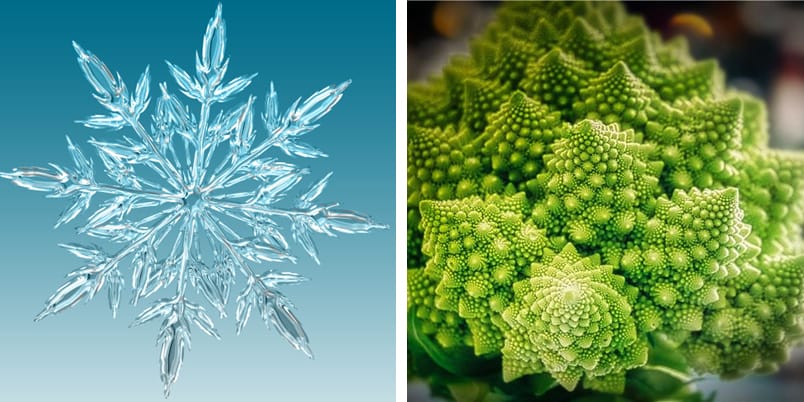 フラクタル構造の例　写真左 ： 雪の結晶　写真右 ： ロマネスコ