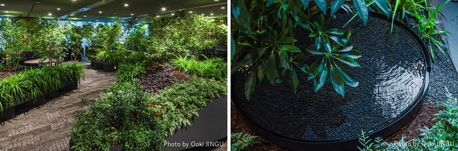 写真左 ： 小道をイメージしたデザイン　写真右 ： 水盤