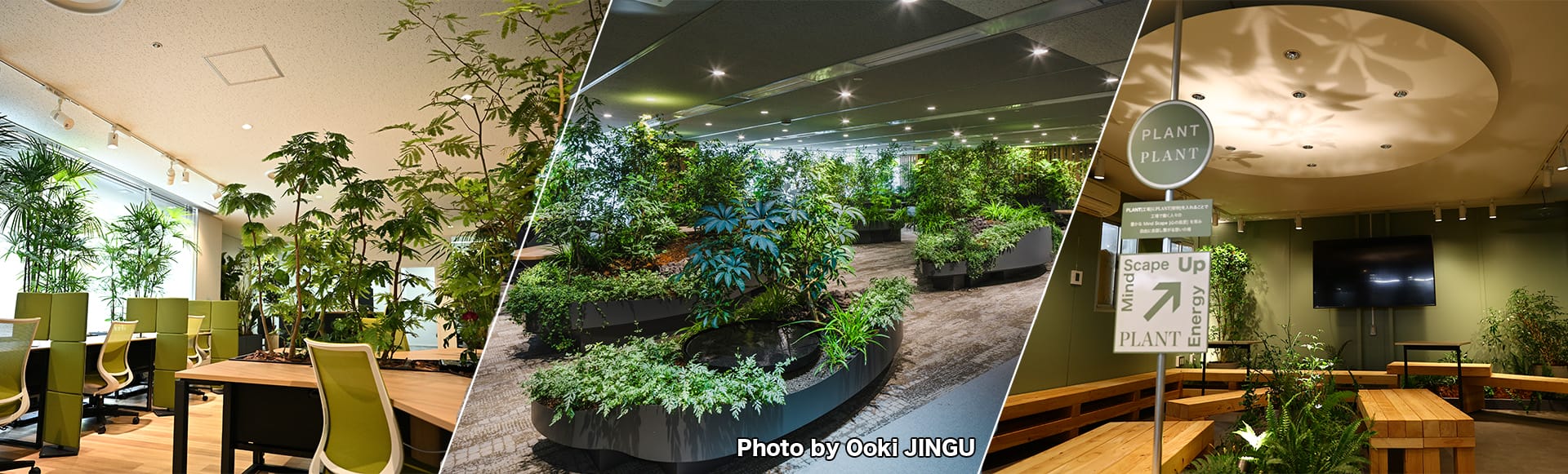 第6回 Genki空間®研究の取り組み