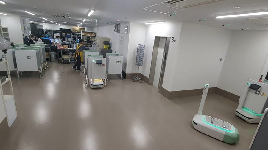 Figure 1. Potaro preparing for transport in the pharmacy