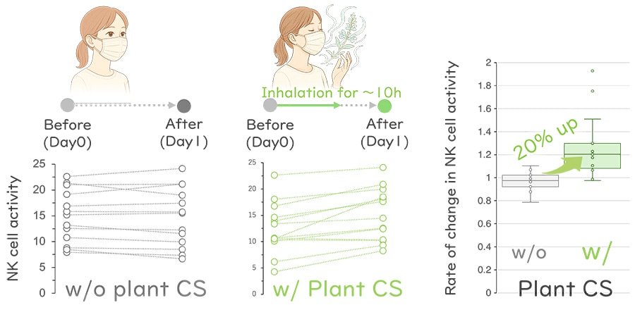 Figure 4: Changes in NK Cell Activity Following Plant CS Inhalation
