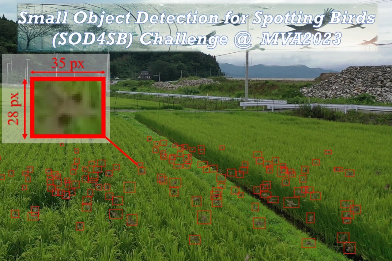 [Collaborative Research] Automated Detection of Small Birds!