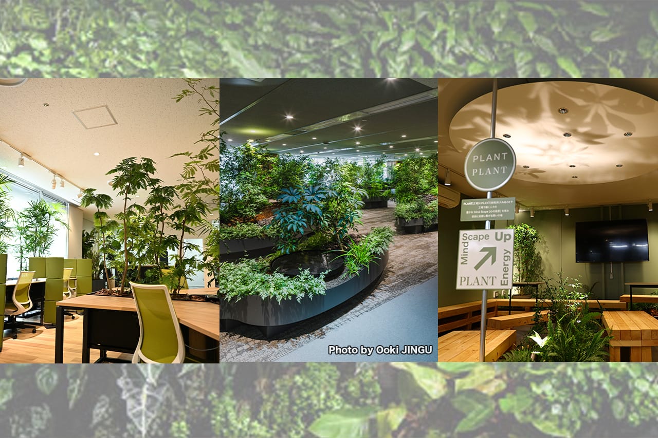 第6回 Genki空間®研究の取り組み