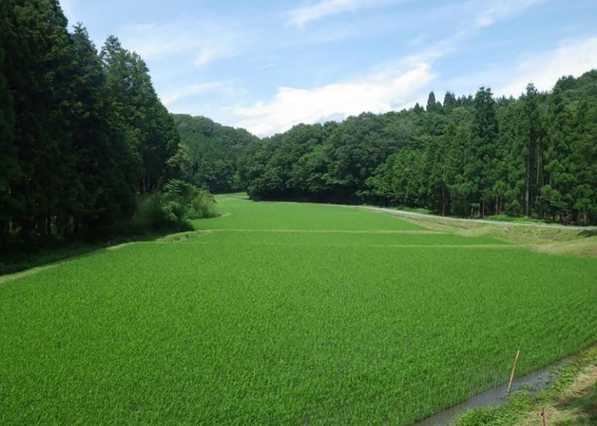 トヨタテクニカルセンター下山