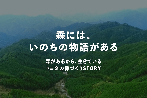 TOYOTAの森づくり