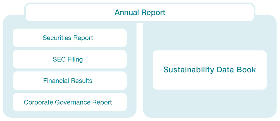 Relationship between the Sustainability Website and the Reports