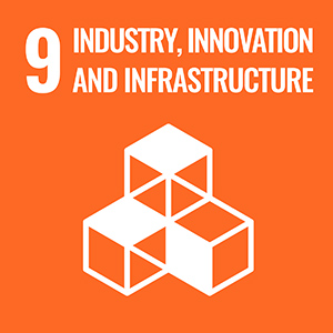 INDUSTRY, INNOVATION, AND INFRASTRUCTURE