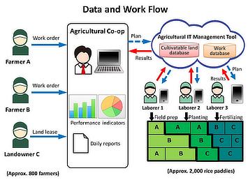 Data and Work Flow