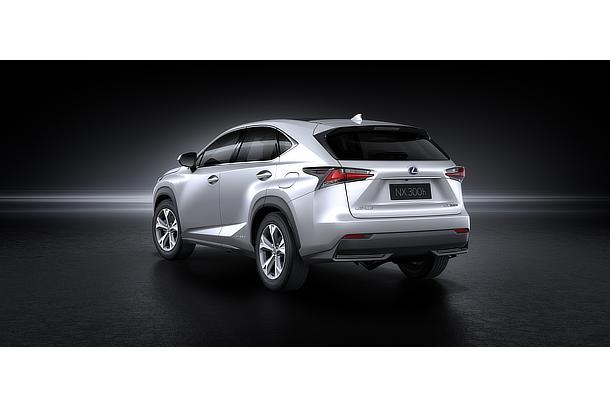 NX 300h