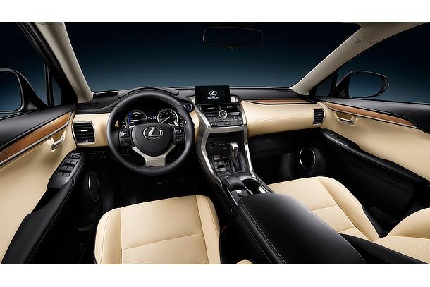NX 300h