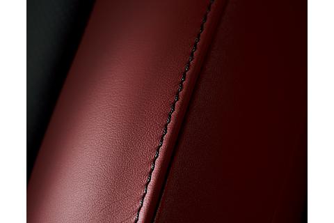 RX 特別仕様車 シートマテリアル ： 本革 シートカラー ： ブラック＆ガーネット シートステッチカラー ： ブラック＆ガーネット（2）