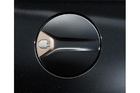 エクステリア加飾（スパークリングゴールド）・充電リッド