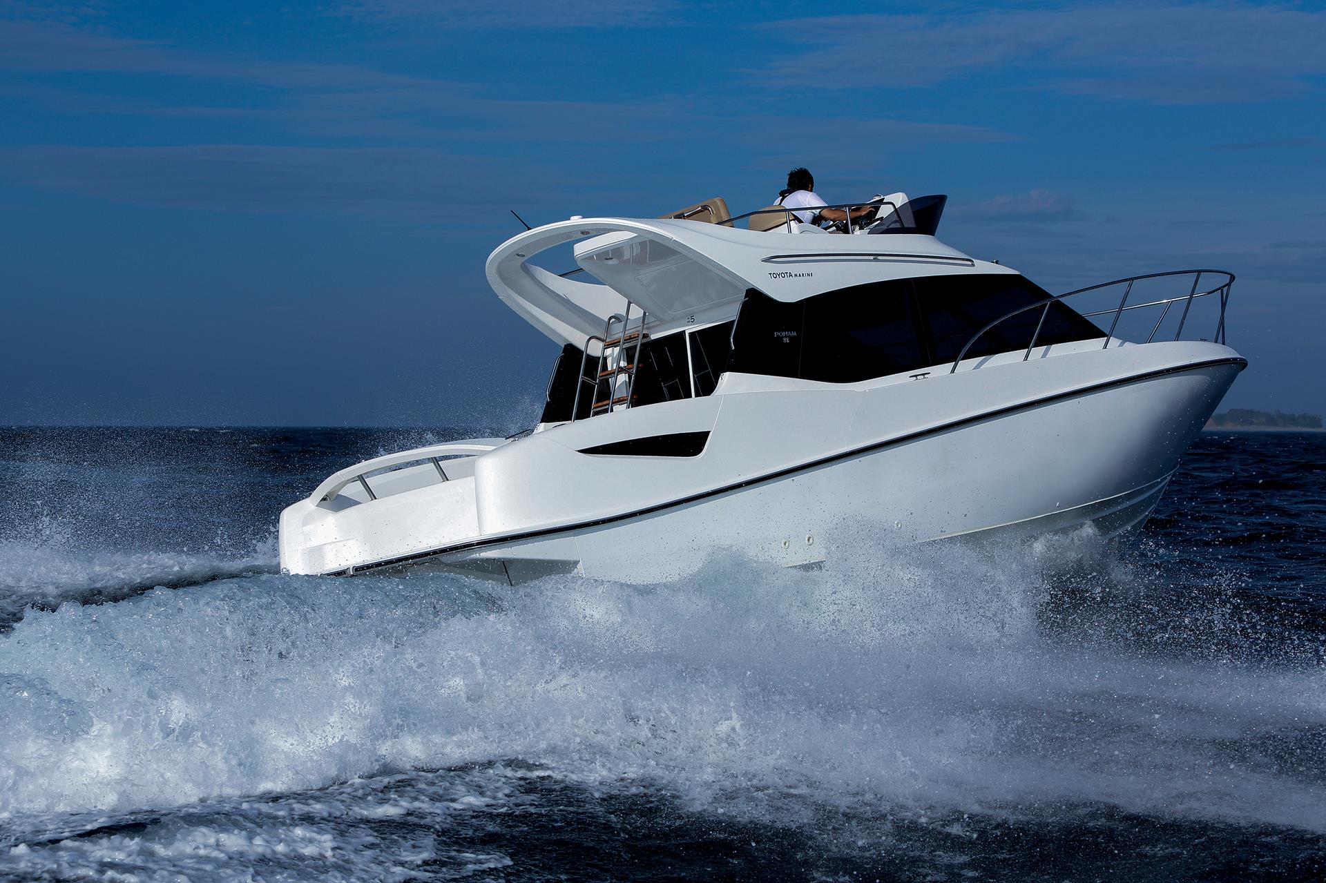 Ponam-31 (options shown)