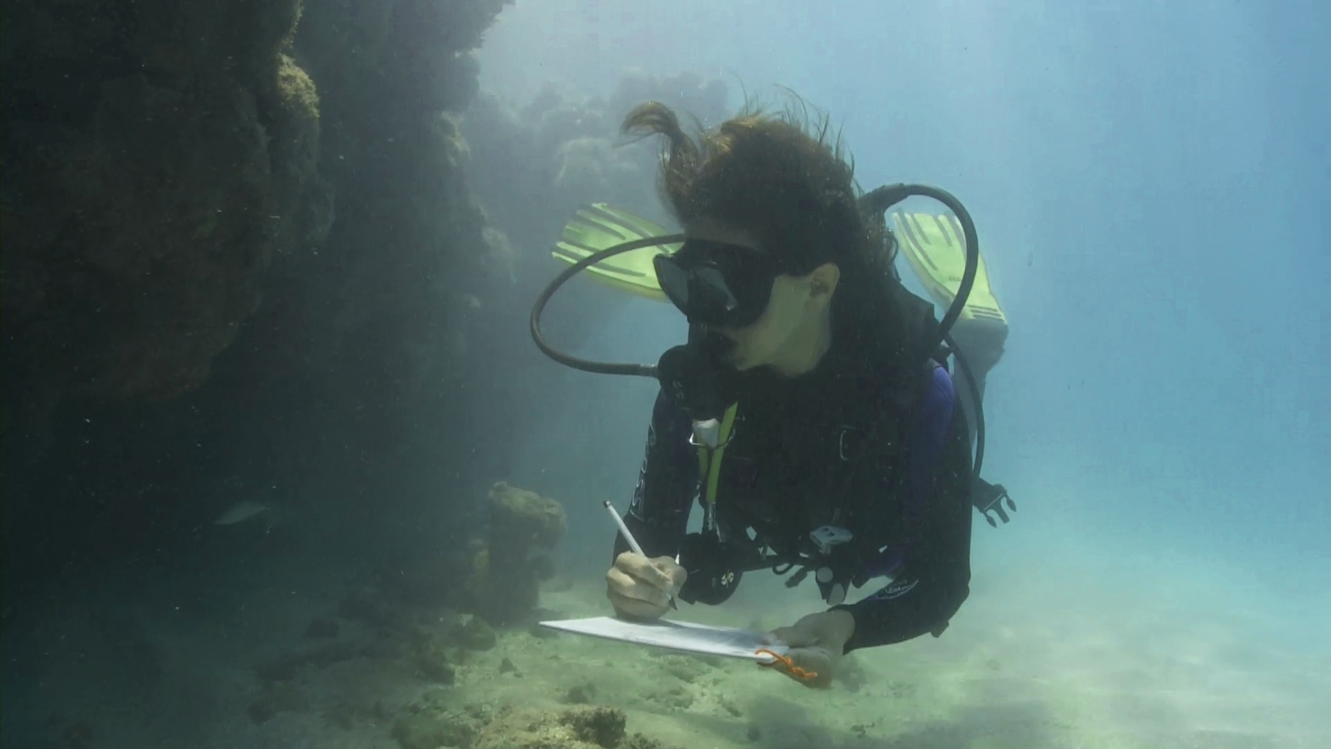 TBF has sponsored the Toyota APA Costa dos Corais project since 2009.