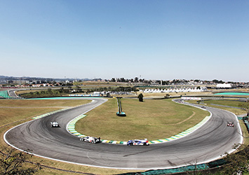 2014 Sao Paulo Preview