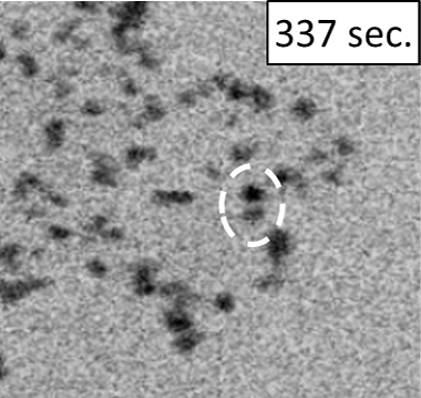 The coarsening of platinum nanoparticles (337 sec.)