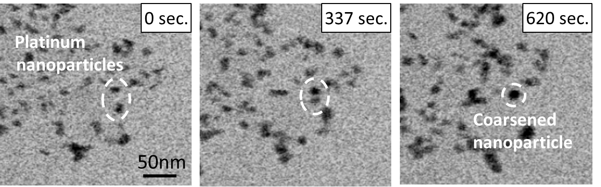 The coarsening of platinum nanoparticles