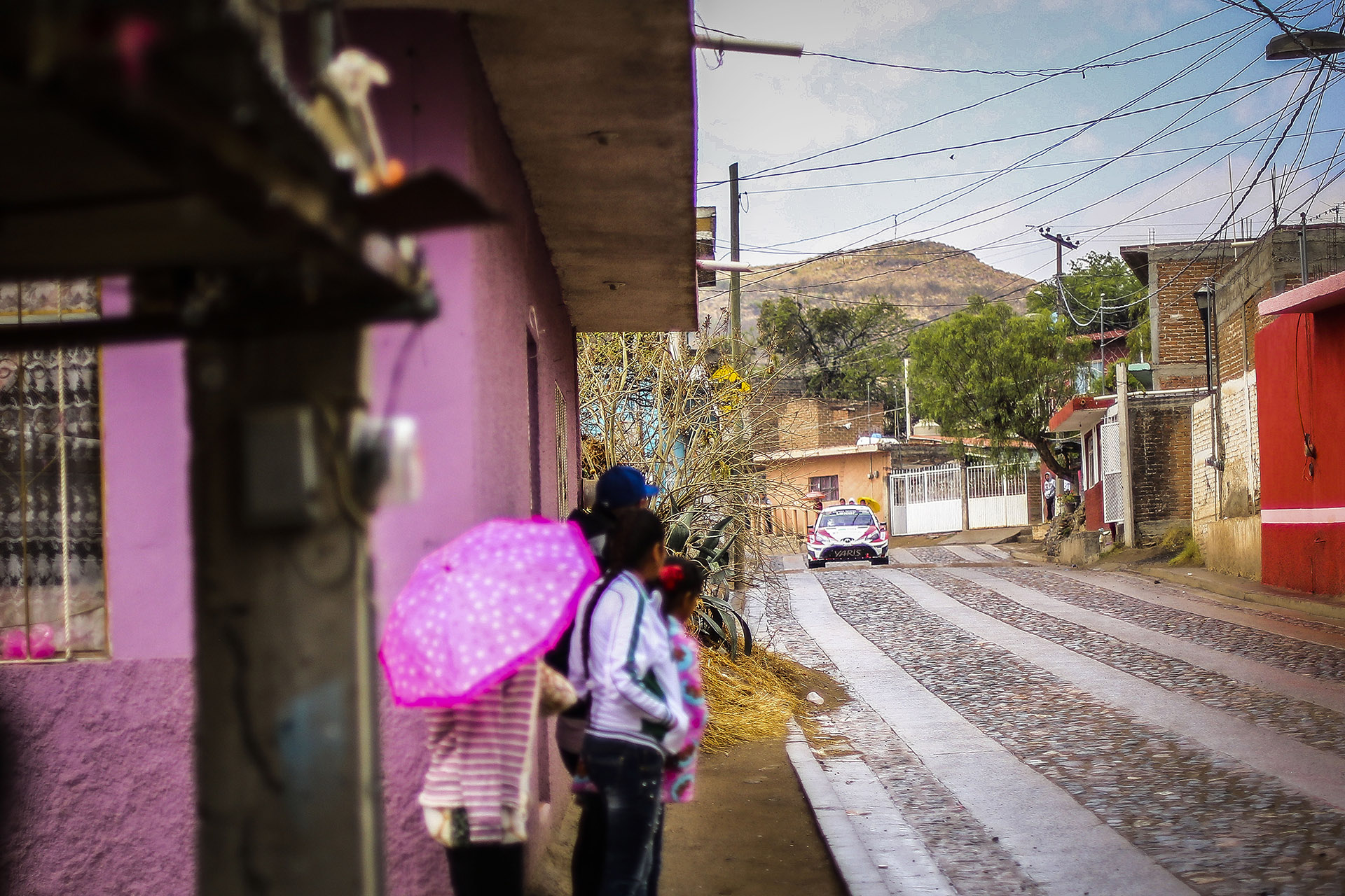 2017 WRC Round 3 RALLY MEXICO