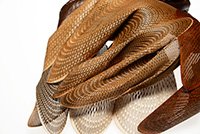 THE LANDSCAPE OF PAPER