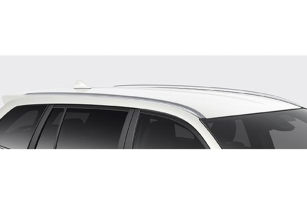 ルーフモール (シルバー塗装) HYBRID G“W×B”