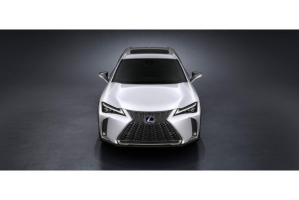 UX 250h "F SPORT"