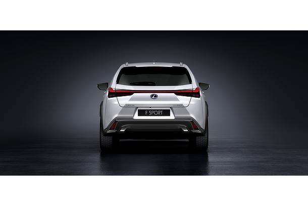 UX 250h "F SPORT"