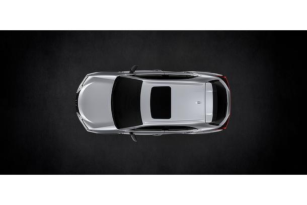UX 250h "F SPORT"