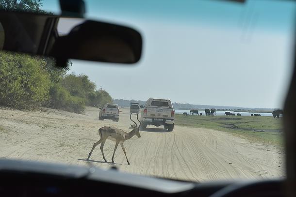 Toyota 5 Continents Drive Project Africa drive project