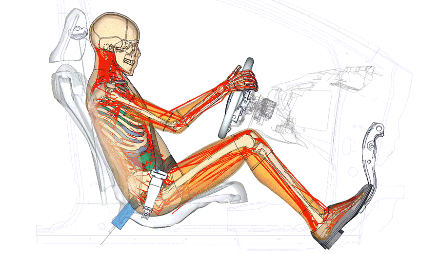 Relaxed occupant posture (Pre-collision system applies the brake automatically)