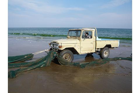 Land Cruiser 40 Series cars continue to be used today, more than 50 years after they were manufactured (pictured here in a fishing village in the UAE)