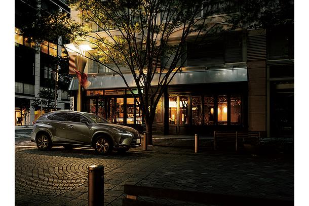 NX300 特別仕様車“Bronze Edition”（ソニックチタニウム）＜オプション装着車＞