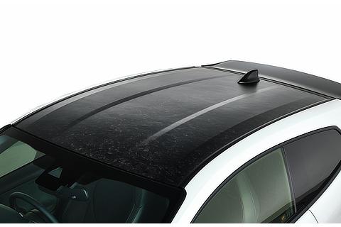 RZ "First Edition" marble-pattern carbon roof
