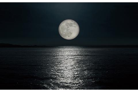 コンセプト「月の道」イメージ